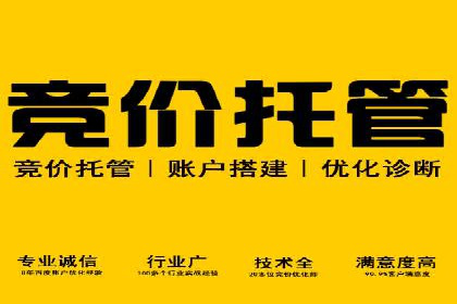 谷歌SEM与移动端优化：某APP的推广策略及效果